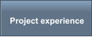 Project experience