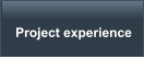 Project experience